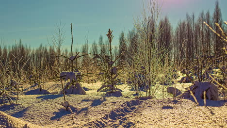 Blattlose-Pflanzen-Und-Bäume,-Die-Im-Winter-In-Der-Abenddämmerung-Mit-Schnee-Bedeckt-Sind