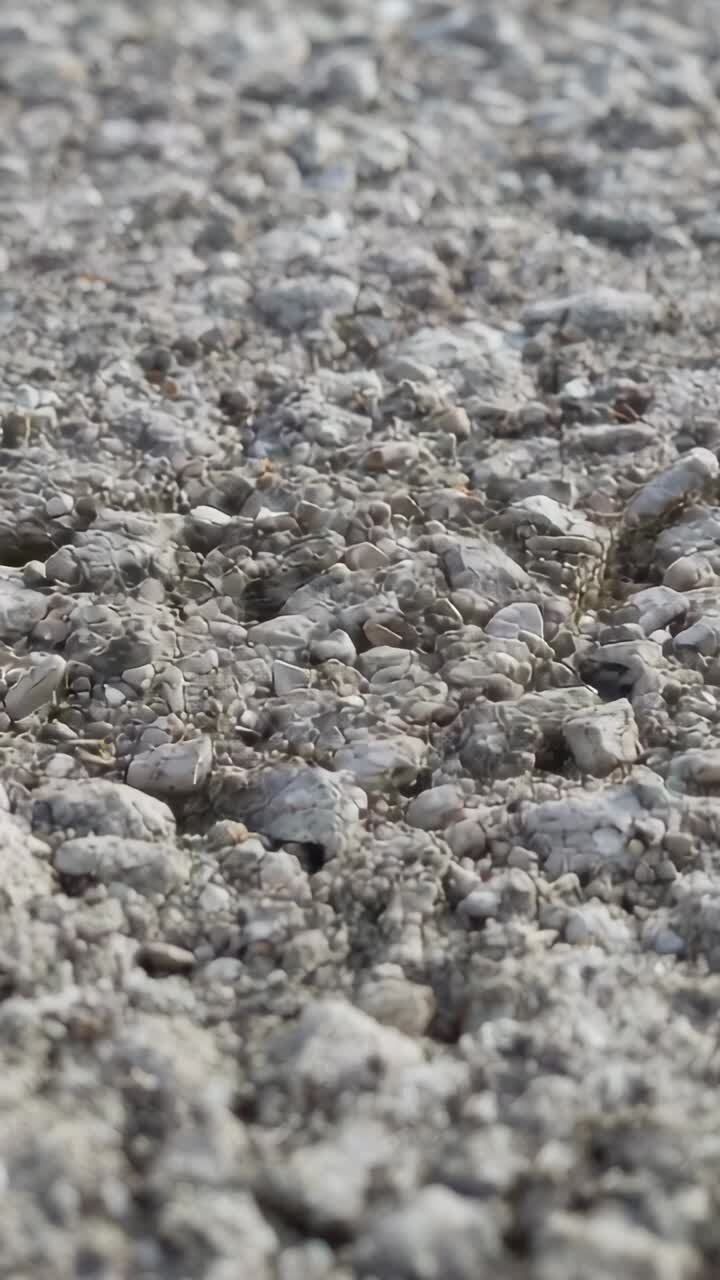 Lodret video: Lav engel kamerabevægelse, der afslører detaljer på en klippekyst, småsten, muslingeskaller, blege stykker
