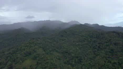 Vista-Aérea-Del-Movimiento-Hacia-Atrás-Del-Interminable-Bosque-Montañoso-En-Una-Mañana-Brumosa