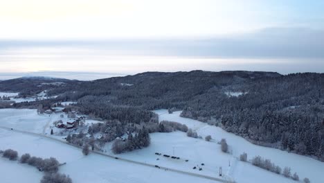 Durchqueren-Sie-Den-Bezaubernden,-Schneebedeckten-Wald,-In-Dem-Jeder-Ast-Zart-Mit-Einer-Unberührten-Schneeschicht-Geschmückt-Ist-Und-Eine-Magische-Atmosphäre-Schafft,-Die-Sie-In-Ein-Reich-Der-Ruhe-Entführt