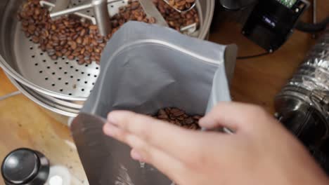 caucasian hands take coffee beans from pan after being roasted, making process at kitchen shop, closeup view