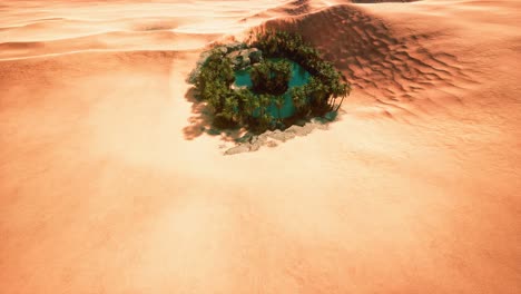 vista aérea de arriba hacia abajo de un oasis en el desierto