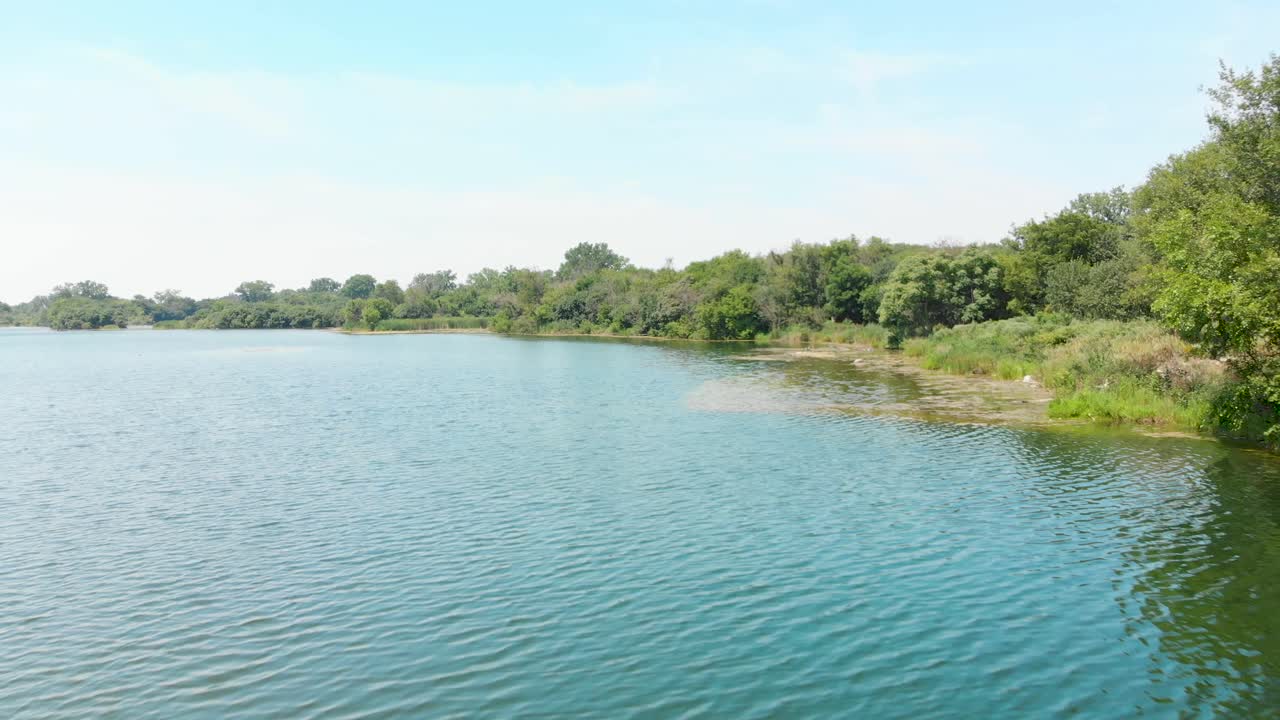 숲 4k pov에서 호수 위의 낮은 비행 arieal 드론 비행