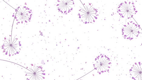 Dandelions with hearts for lovers on white background. Elegant loop animation pattern with stylized summer flowers. Modern floral design frame with space for text.