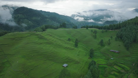 fotografía de un avión no tripulado de un vasto terreno en las colinas de makwanpur, nepal, después de la lluvia del monzón escena cubierta por nubes con árboles y bosque exuberante, mostrando un entorno natural hermoso y sereno
