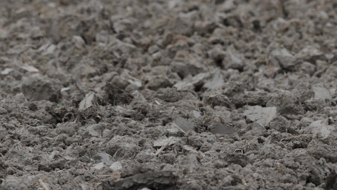 Panning shot of dry soil during summer heatwave. Nutrient depleted.