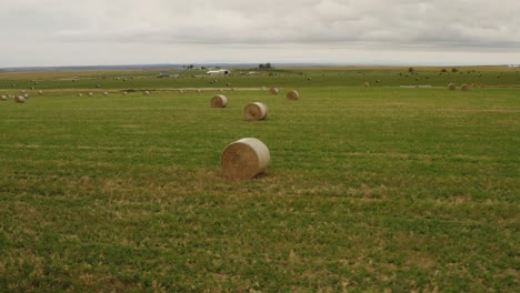 agriculture, farms, aerial view of rolls of hay in the field