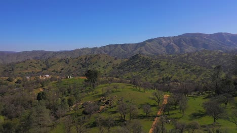 Dirt,-off-road-trails-wind-through-a-valley-below-the-Tehachapi-Mountains-with-fresh-green-spring-grass-growing-in-the-foothills---aerial-view