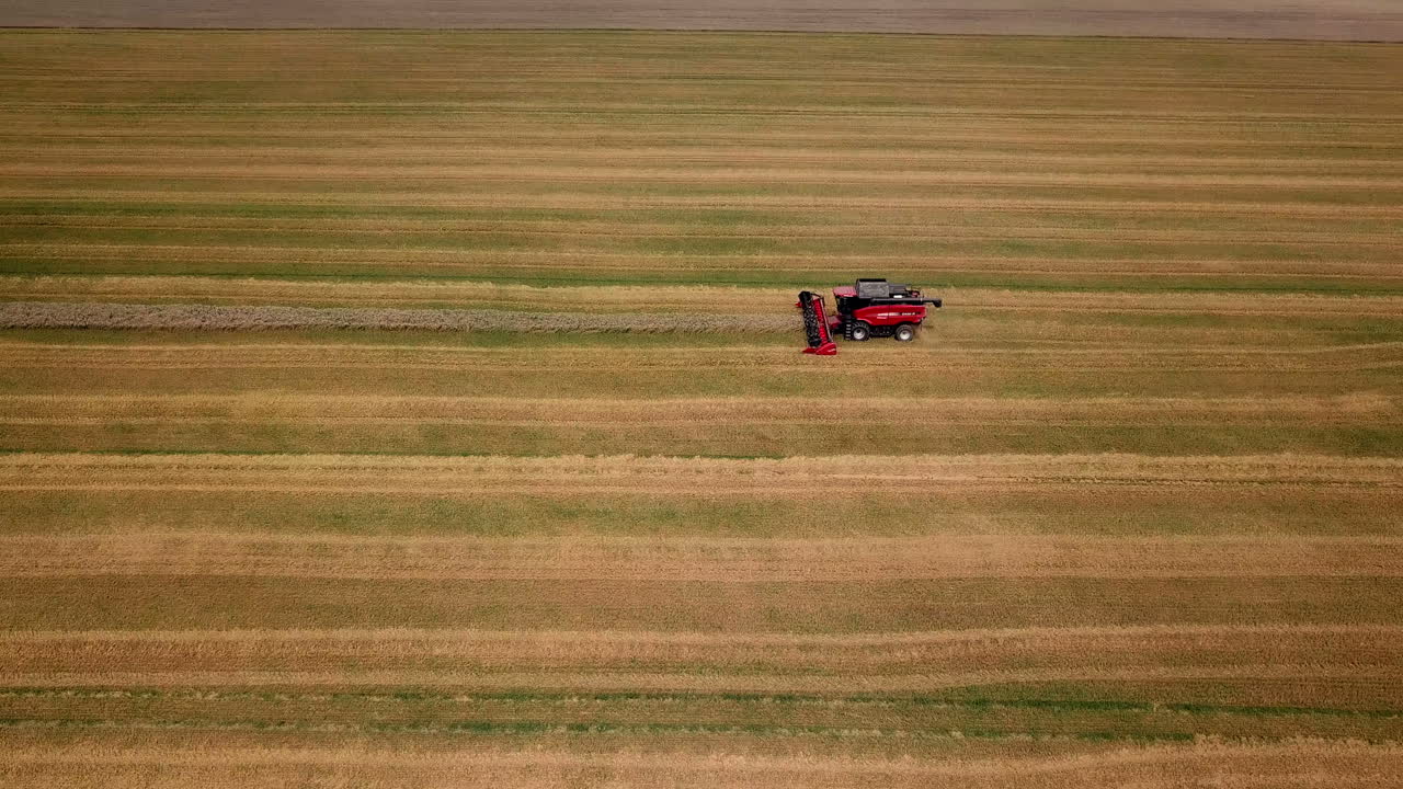 Aerial view. Combine harvester working on the wheat field. Wheat Harvesting.