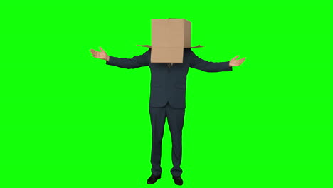 Businessman-standing-with-box-over-his-head