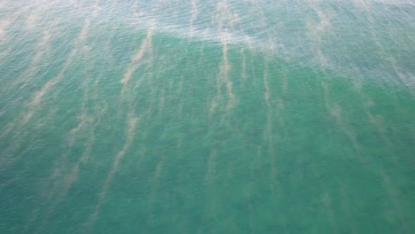 morning mist above the sea at the coolum beach in queensland, australia