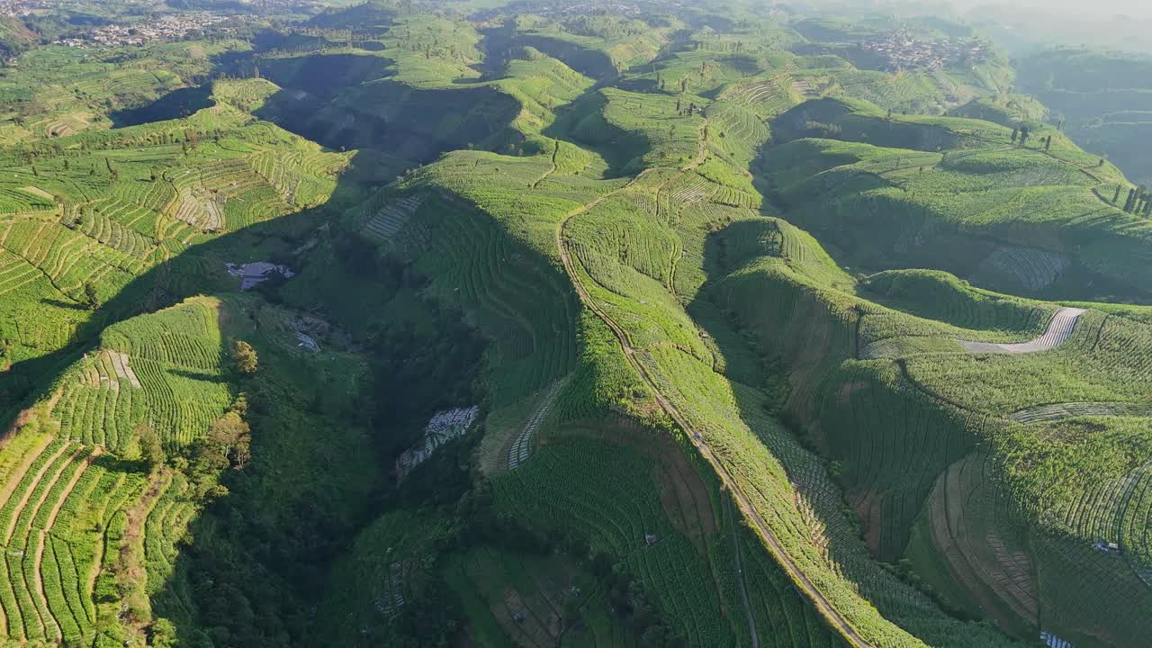 Aerial shot of green terraced hills under clear skies. Natural patterns of tobacco plantation on the slope of Mount Sumbing, Indonesia