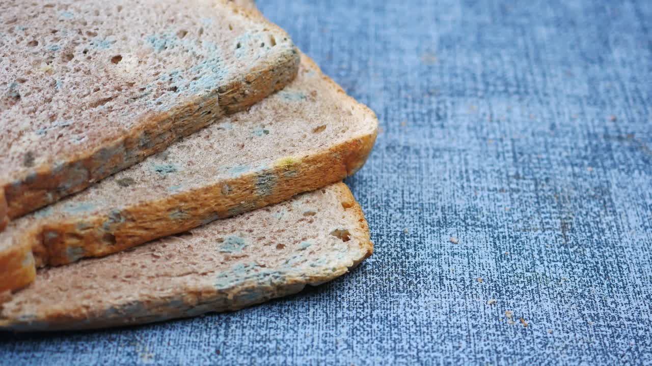Brown bread with mildew spoiled products,
