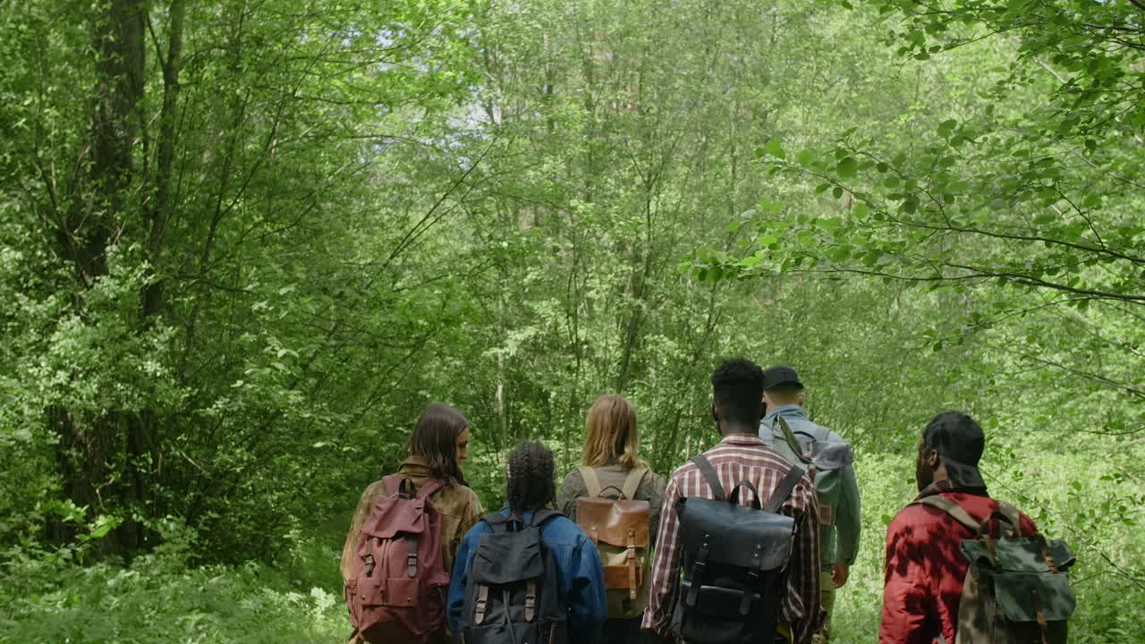 숲에서 산책하는 친구들