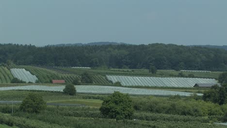 Tiro-Largo-O-Panorámico-De-La-Plantación-De-Manzanas-Con-Red-De-Protección-Contra-Granizo-En-El-Lago-De-Constanza,-Alemania