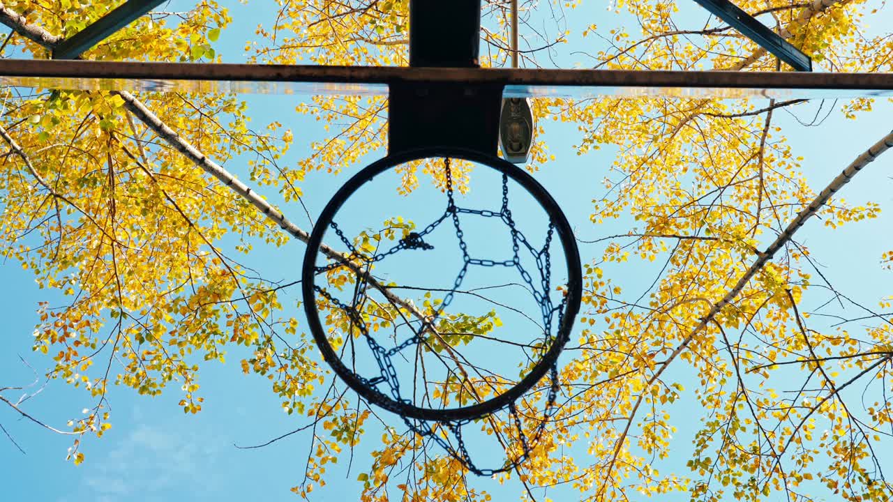 농구공이 바구니로 날아갑니다.