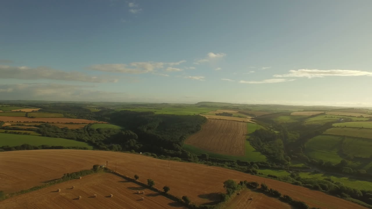 Drone footage of golden fields 