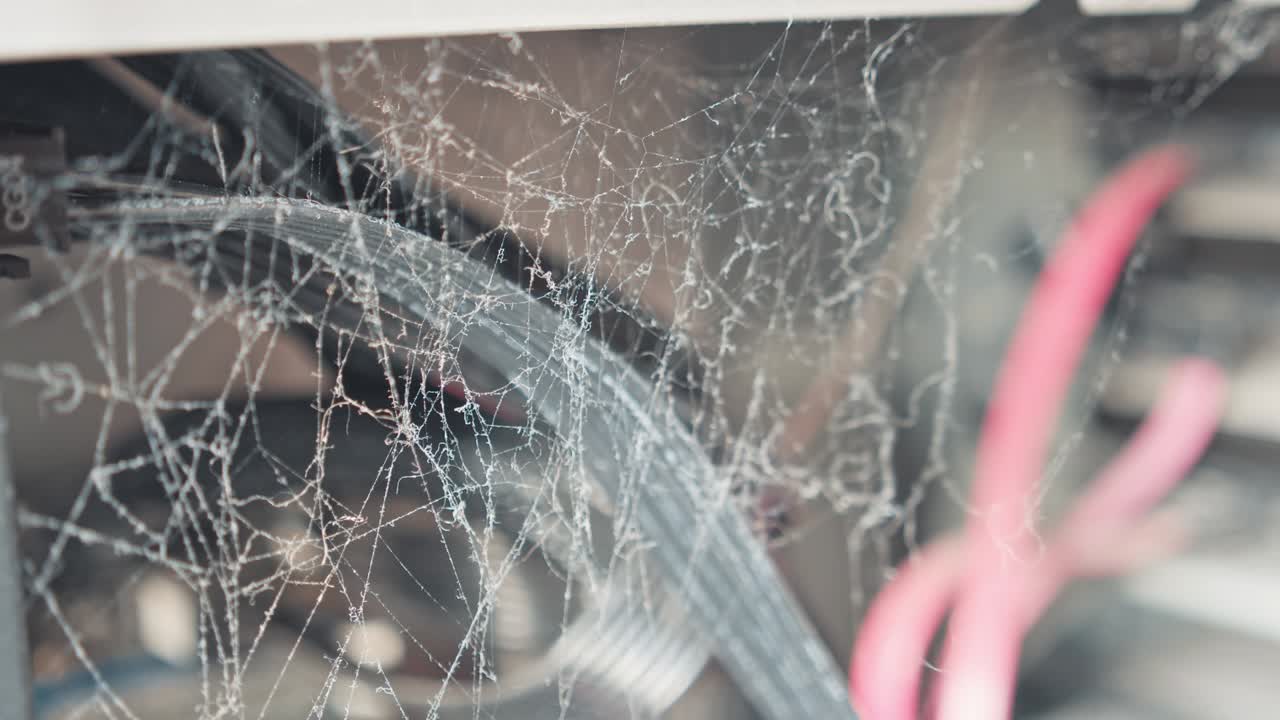 스파이더웹을 가진 컴퓨터 시스템 유