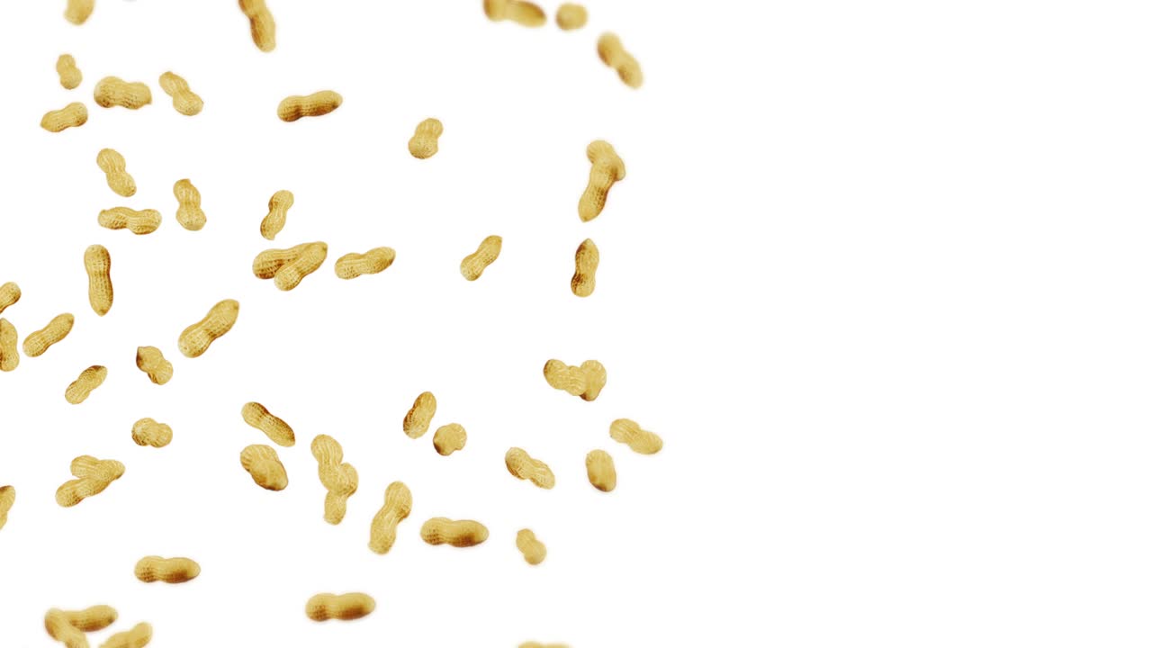Flying many peanuts on white background. Raw peanuts. Groundnuts in shells. Healthy organic food. 3D loop animation of seed rotating.