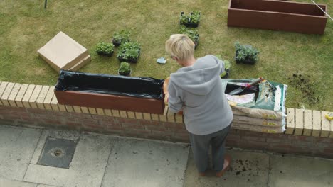 female-gardening-high-angle-shot-outside-during-springtime