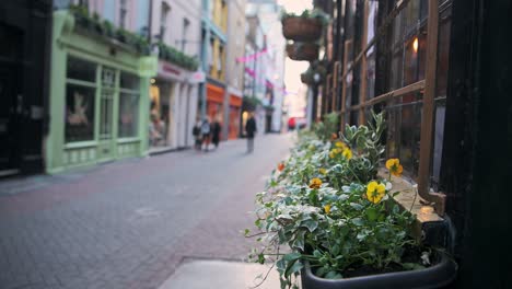 empty london streets during coronavirus lockdown, showing quiet and deserted carnaby street roads in a popular tourist area in the global pandemic covid-19 shutdown in england, europe