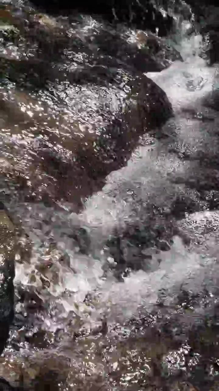 Acqua limpida che scorre su rocce scure in un ruscello di montagna