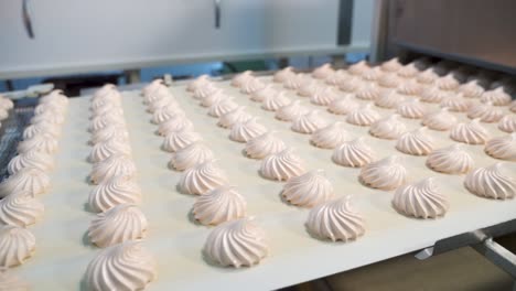 the movement of rows of white marshmallows on a conveyor belt. factory for the production of natural sweets