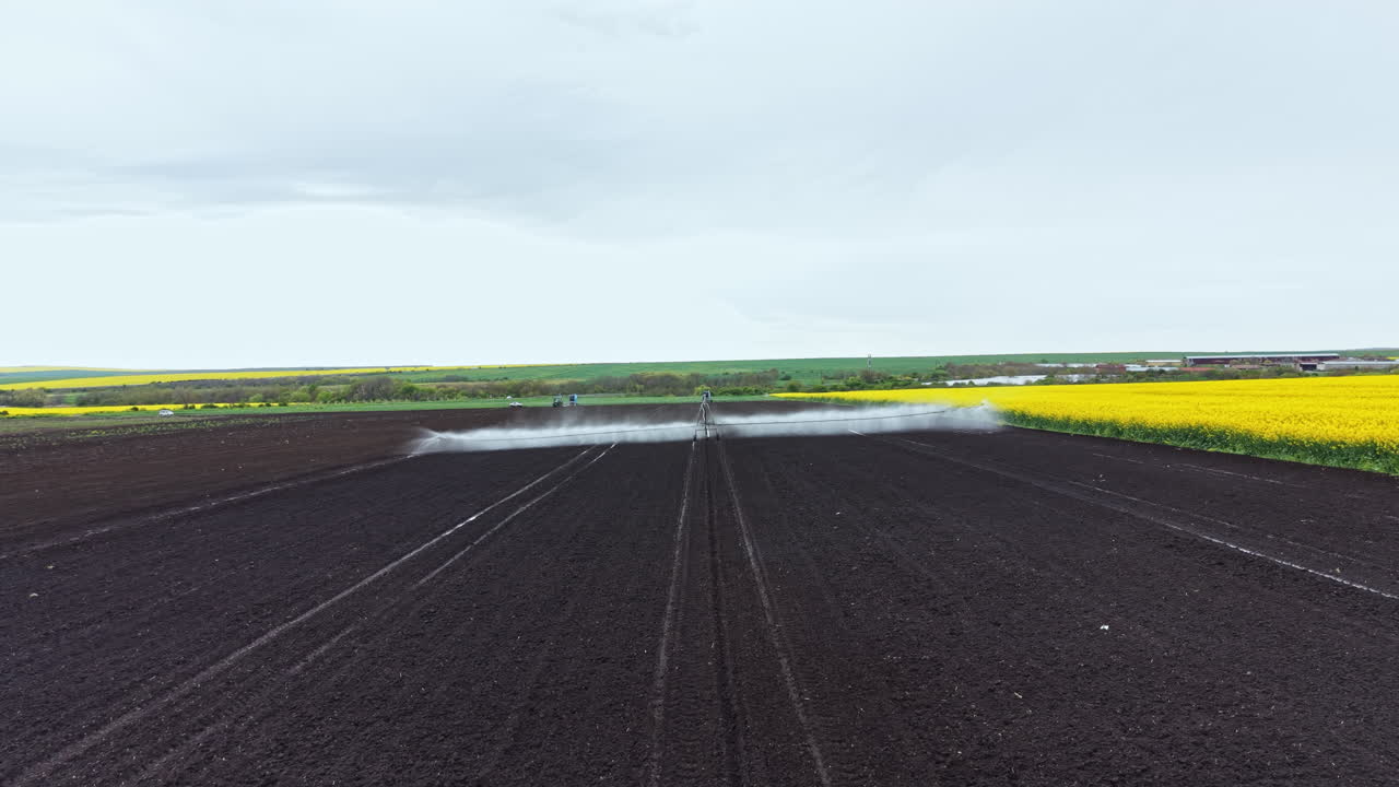 Agricoltori lavorano in un campo con fiori gialli e terreno scuro sotto un cielo nuvoloso