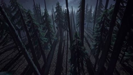 el misterioso bosque nocturno