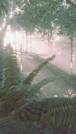 sunlight filtering through a misty jungle