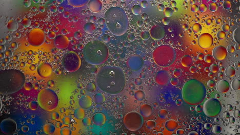pequeñas y grandes formas redondeadas en colores brillantes moviéndose alrededor