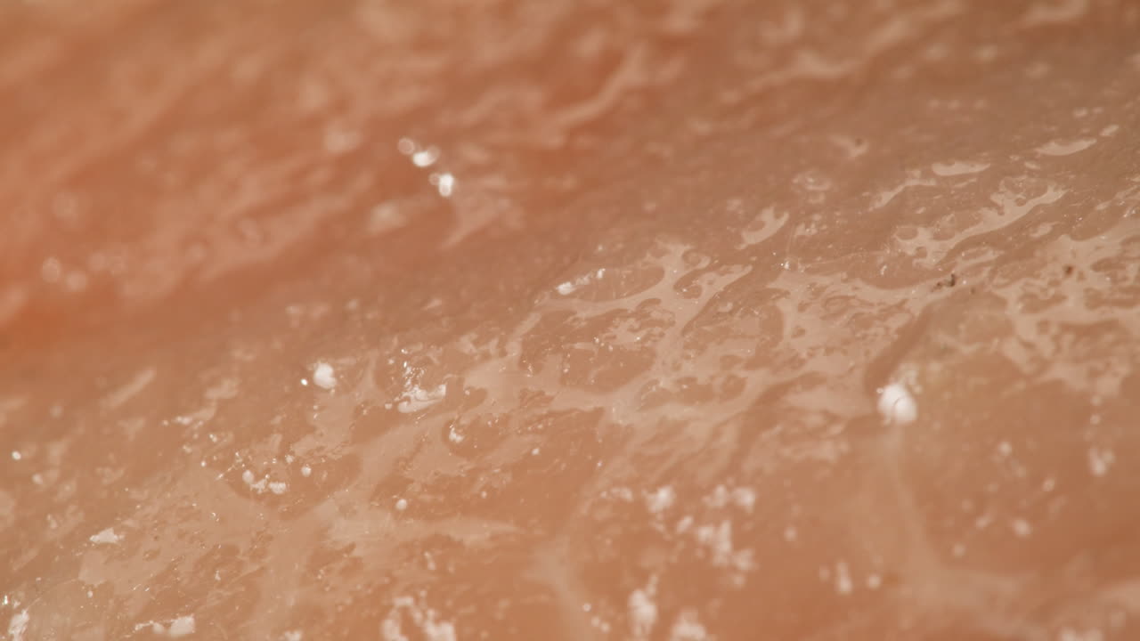 Close-up of Raw Fish Fillet