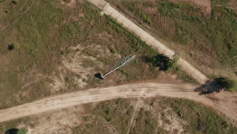 fotografía aérea de un árbol caído después de un tornado en la república checa