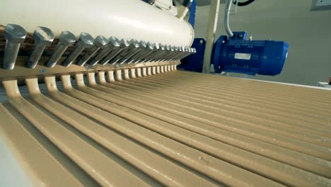 long parallel lines of candy cream are flowing along the conveyor belt