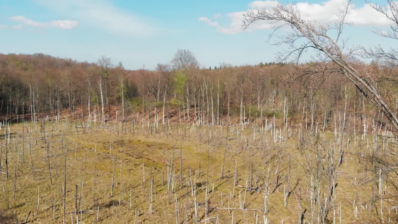 santuario de la montaña de ámbar en lublewo gdaåskie, polonia