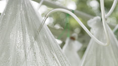 hydroponic plant growing bags with water irrigation system