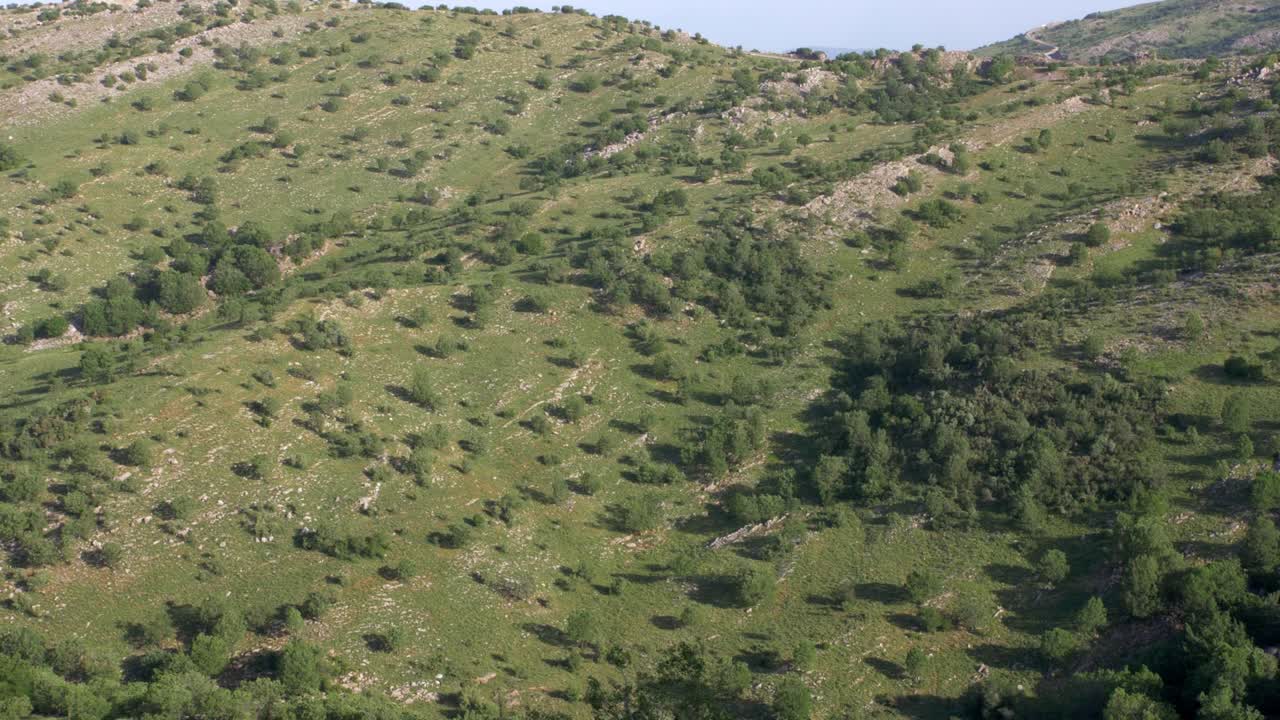 el paisaje del monte hermón, el valle de arar y el bosque, israel