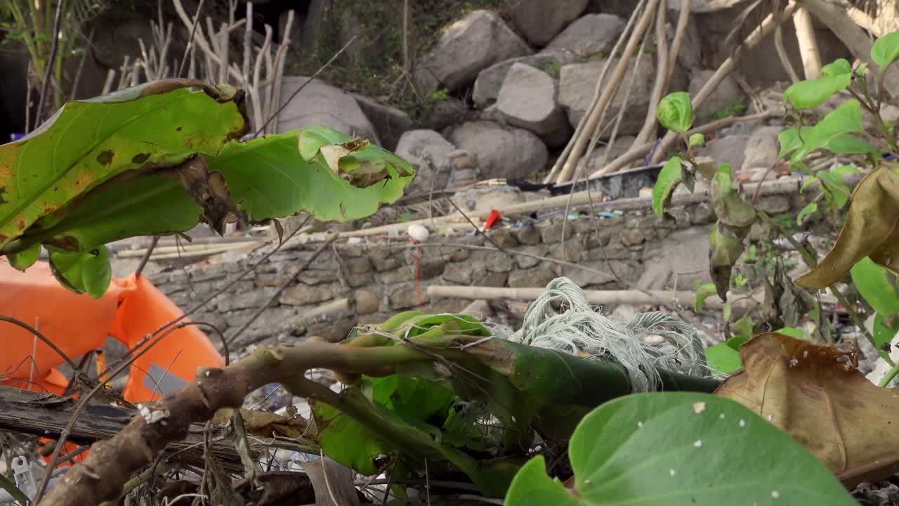 소니 ax700으로 촬영된 태국 근접 촬영 4k 아시아의 플라스틱 바위와 구명조끼에서 죽어가는 식물