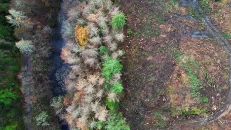 Vista-Aérea-Del-Impacto-De-La-Deforestación-Junto-A-Un-Río