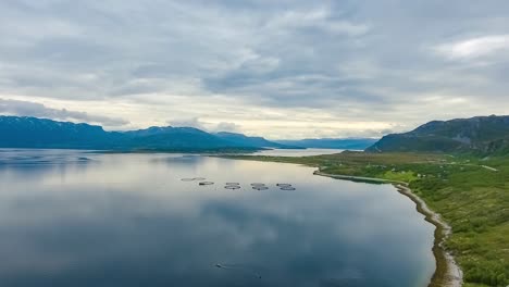 Imágenes-Aéreas-De-Una-Granja-De-Pesca-De-Salmón-En-Noruega