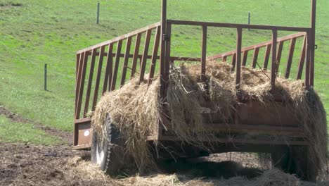 hay cart on a green meadow