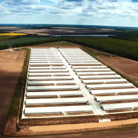industrial poultry farm