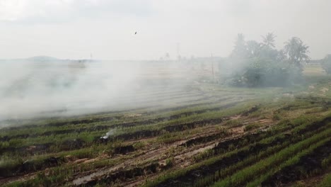 Offenes-Feuer-Verursacht-Umweltkatastrophe-In-Südostasien.