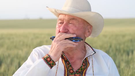 an old peasant in ukrainian clothes in a field one pensive old man plays the harmonica in a wheat rye field an old peasant in ukrainian clothes in a field love for the field