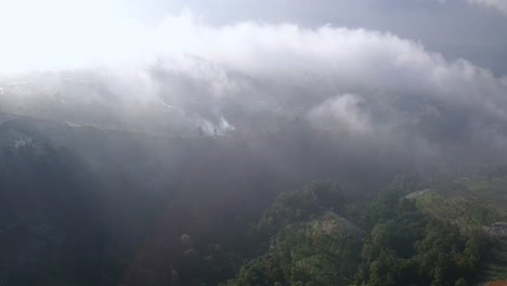 Drohne-Fliegt-Am-Sonnigen-Morgen-über-Nebligen-Wald