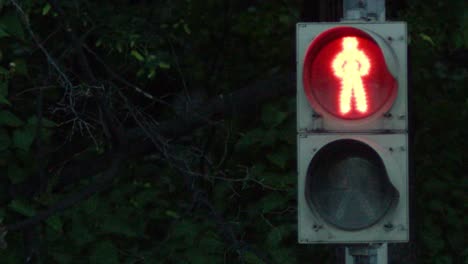 pedestrian traffic light at night