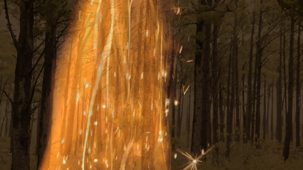 animación de llamas de fuego sobre árboles en el bosque