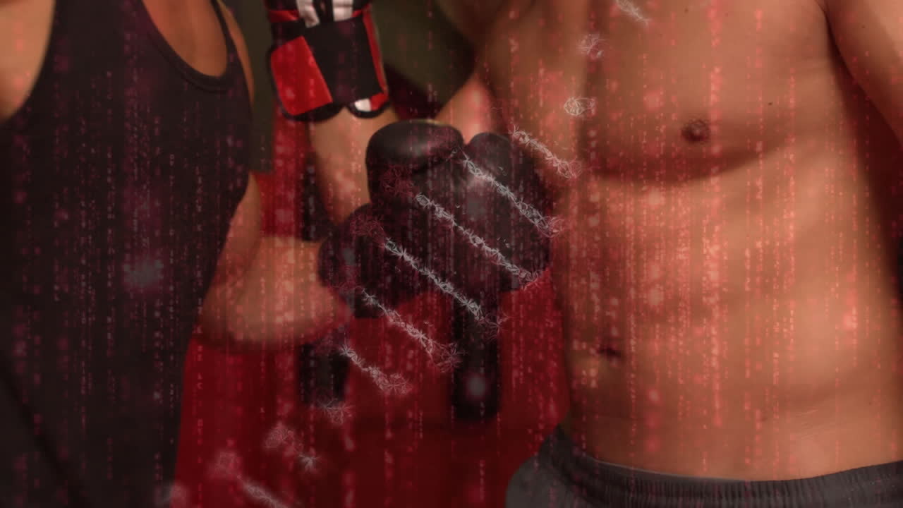 회전하는 dna 가닥과 권투 선수에 대한 데이터 처리와 함께 디지털 인터페이스의 애니메이션