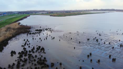 Aerial-Pedestal-Shot-Over-Crezeepolder-Nature-Reserve-At-Ridderkerk-In-Netherlands