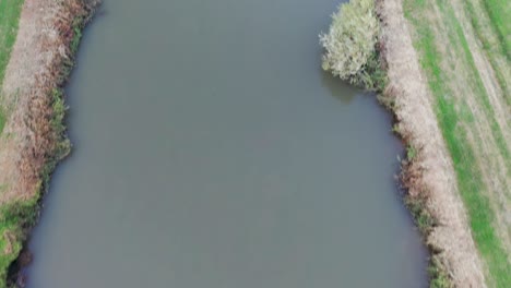 fly over and tilt up to a wide view of the jordan river shores and the golan heights at the background